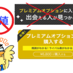 YYCのプレミアムオプションは買っちゃダメ