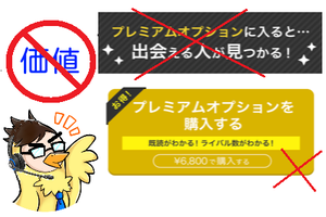 YYCのプレミアムオプションは買っちゃダメ