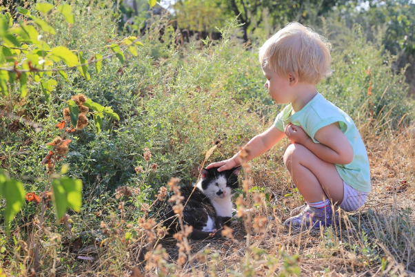 happymail-saitouroku1